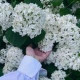 Айгуль Юнусова