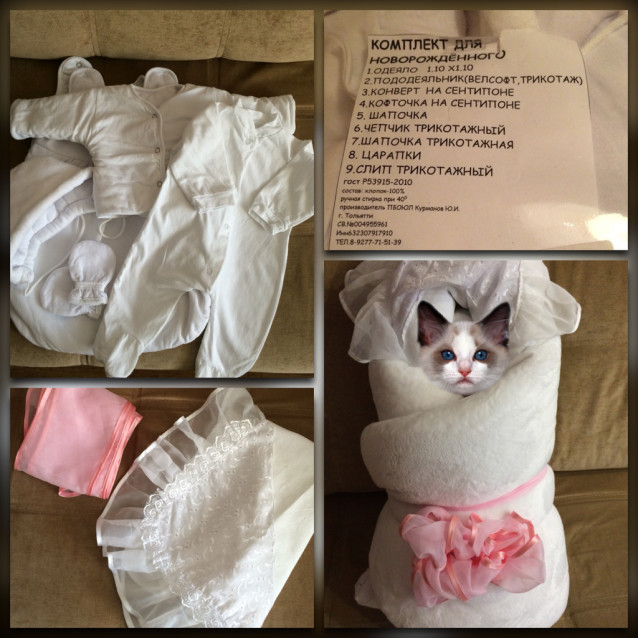комплект на выписку