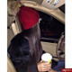 Miss.princess)