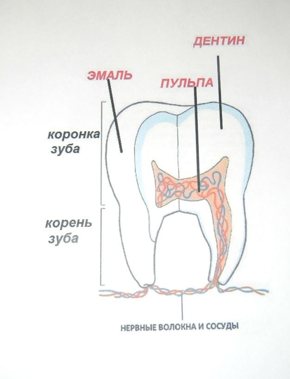 зу