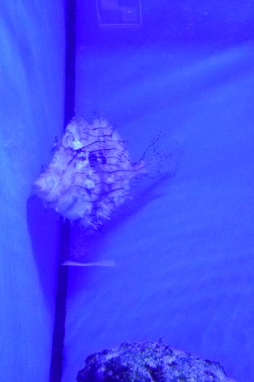 b13ee356198e7fb0fa6516683487bd76.jpg