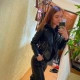 Любовь Серпионова