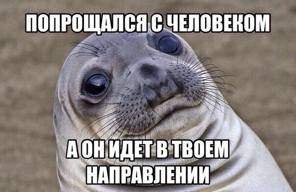 Флудддд
