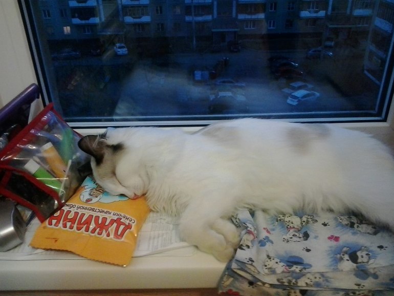 Стрижка.