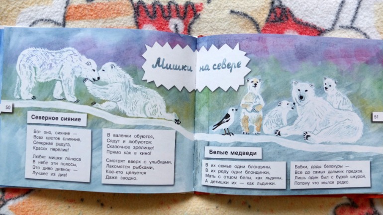 Наши медведи =)