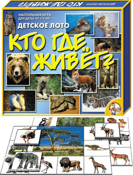 Ожидание нового года в волшебном лесу.