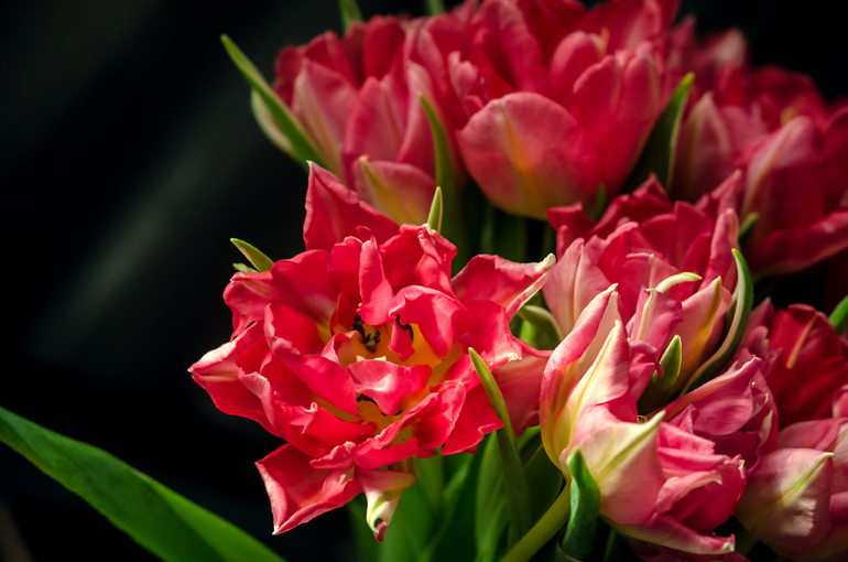 фото