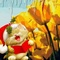Туфли для полных ножек !остатки 2012 г. Распродажа!