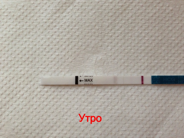Тест утро 11 дпо посмотрите ???