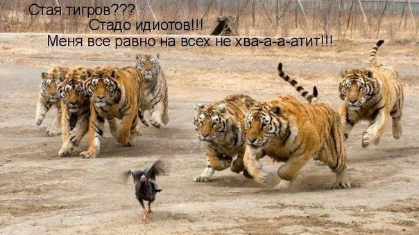 :-D