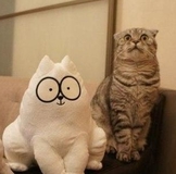 мои обмены)http://cdn2.imgbb.ru/navatar/49/493190/93649a5357cc94ff58474db0f5b43b94.jpg