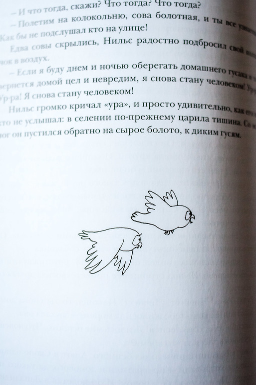 3d6a7bc3325db950a1d95d555cd200e5.jpg