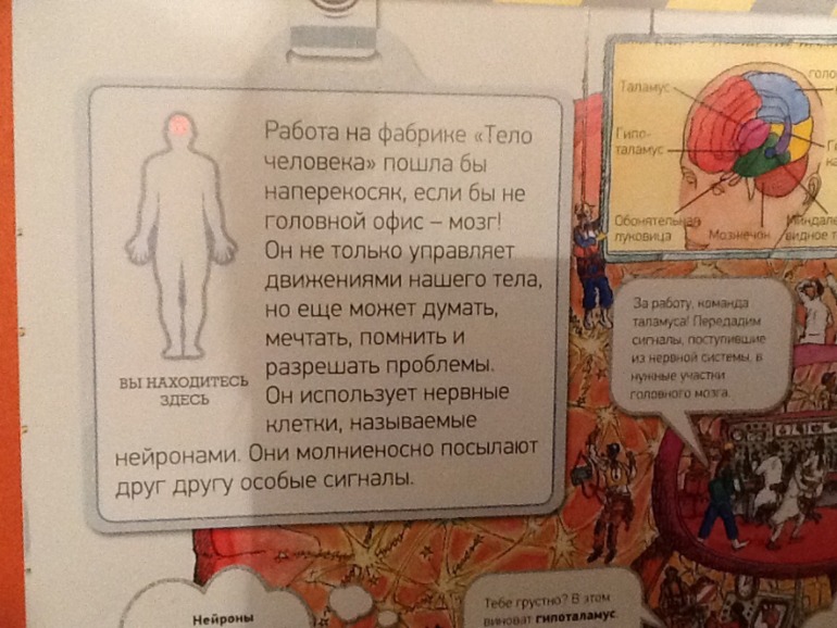 Тело человека!!!!