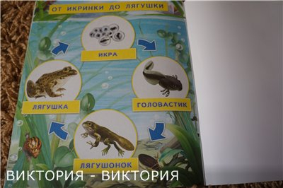 c1d2f1177f36c89cdbd30d949580e580.jpg