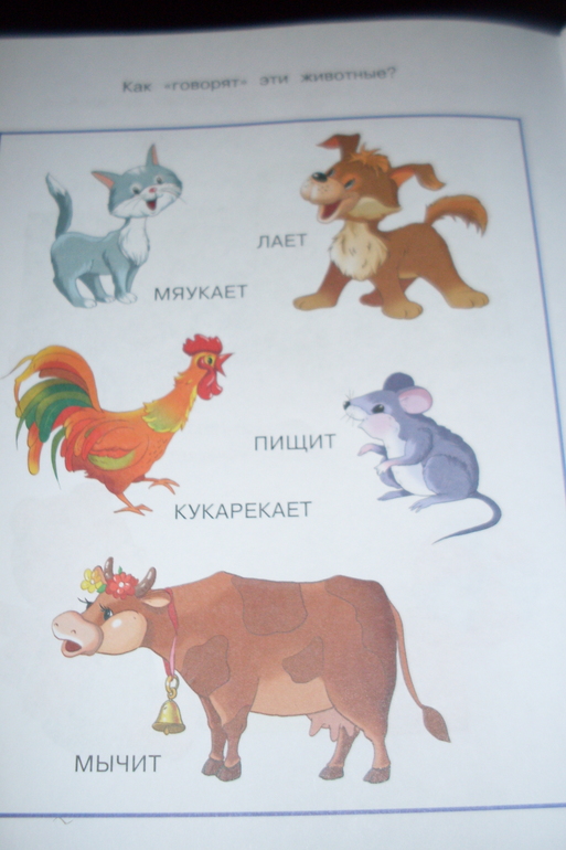 ТН