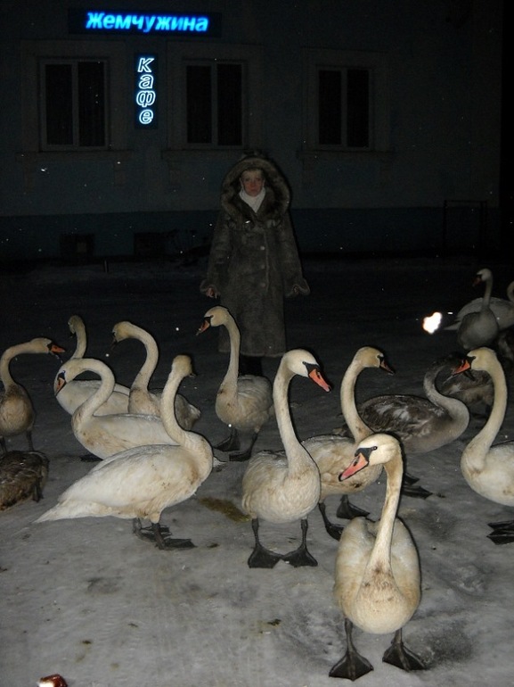 дубленка отдам