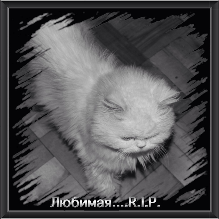 6b2a84196d395779586b29a97ad4484e.jpg