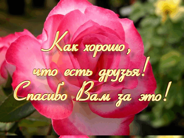 Спасибо вам, друзья)))))))))