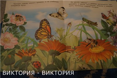 ce98de3d6e10bdd2eef3be98e97703ad.jpg