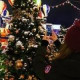 Анастасия Пашкова