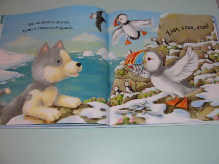 Книжный хваст