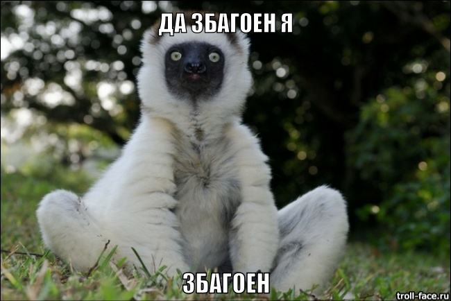Чудеса случаются :) Знакомьтесь, конструктор Quadrilla от Hape!