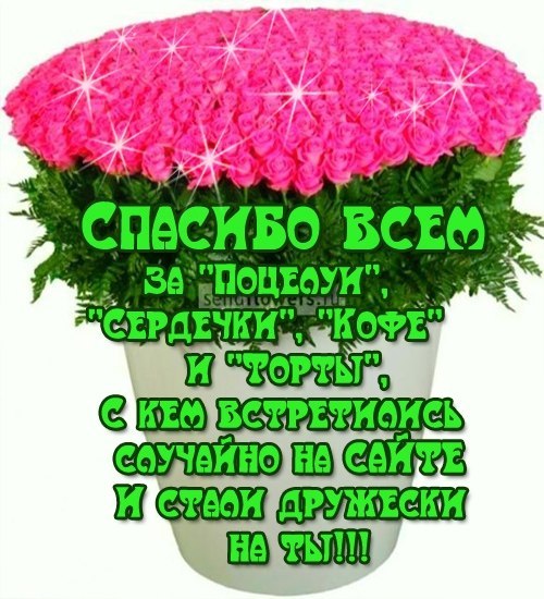 мои года-мое богатство