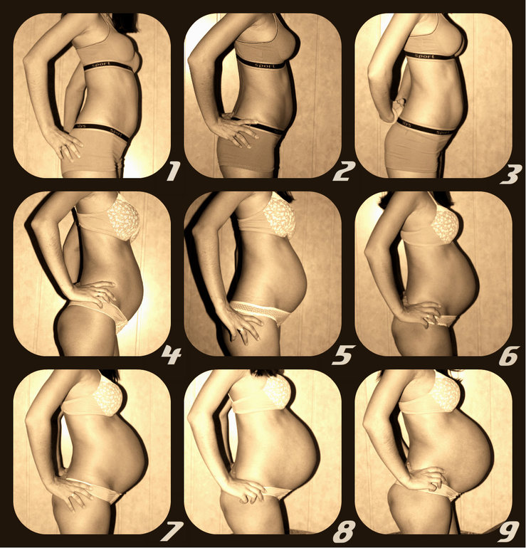 2f87dc3645622b49adf676e7bc1374a3.jpg