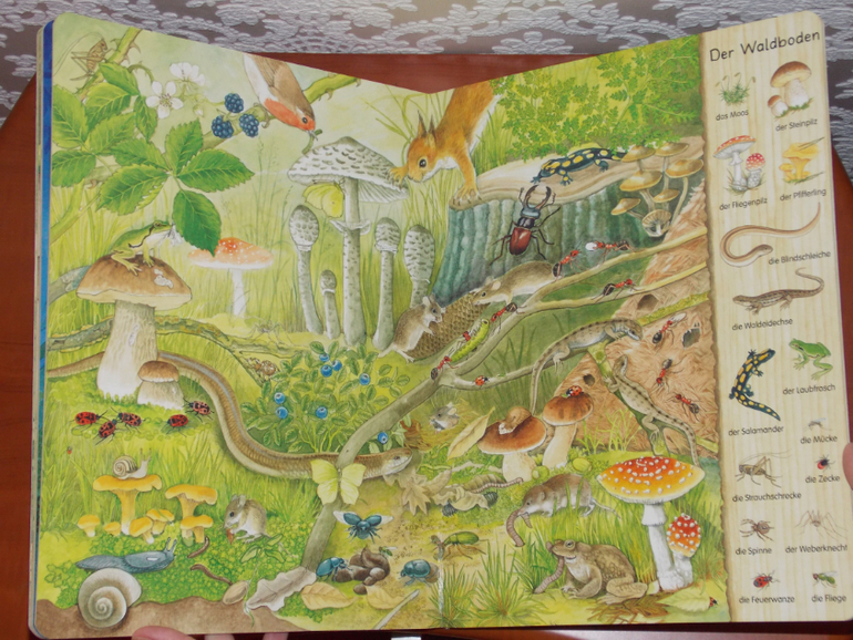 Развороты Mein erstes Wimmelbuch - Im Wald by Christine Henkel