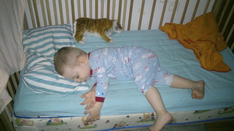 птенчик мой растет