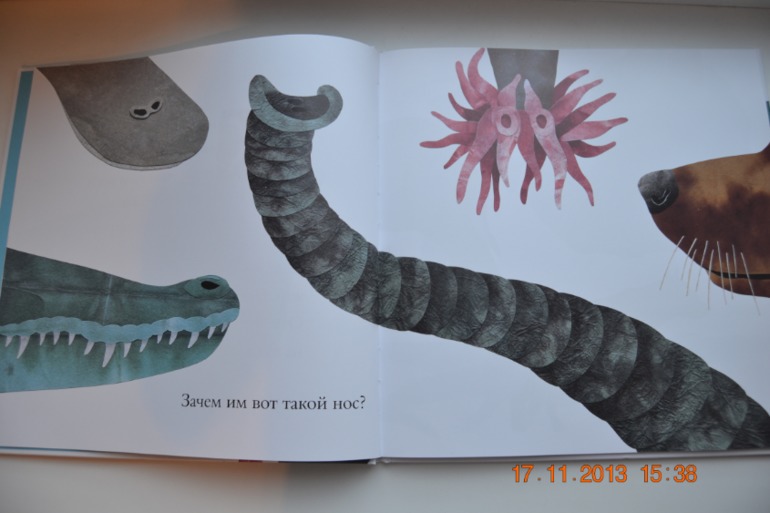 Про хвосты, носы и уши.