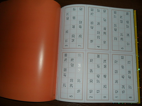 Большая книга новогодних занятий.