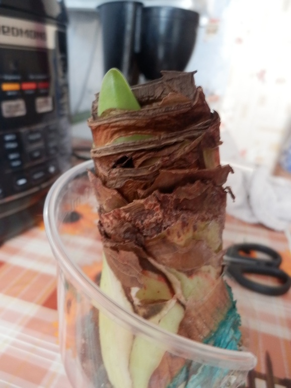 Пересортица и Ко)
