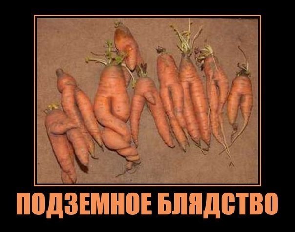 Минутка улыбки)5 шт.