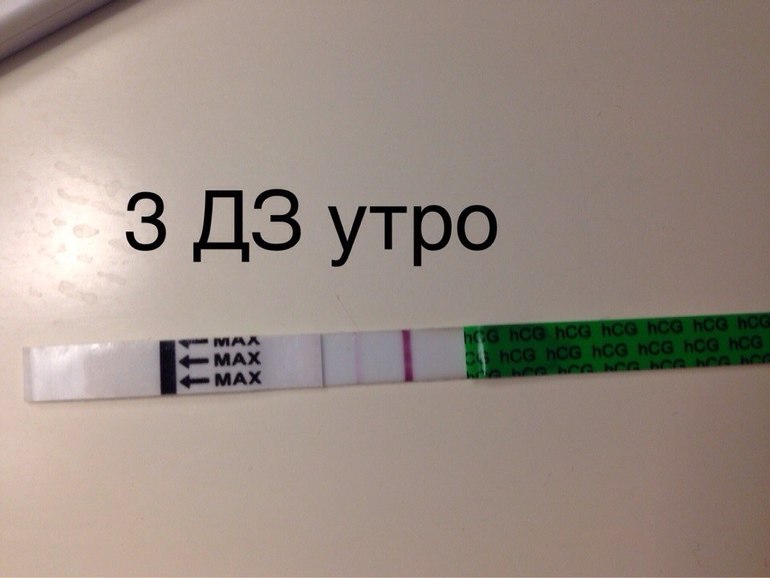 Сижу любуюсь!!! Желаю всем хочушкам поскорее испытать такое счастье!!!