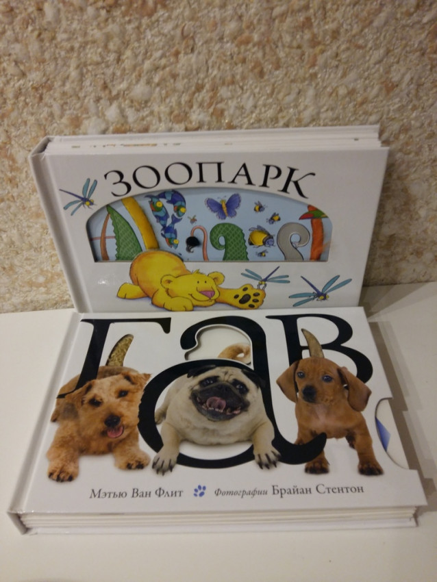 Новые развивающие книжки мэтью ван флита комплект