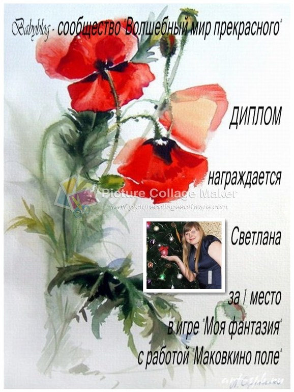 Дипломы за участие в игре