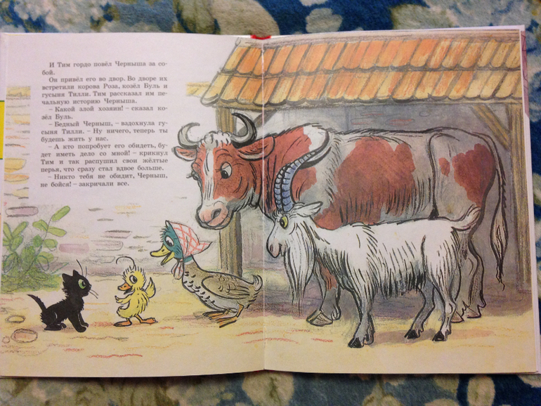 Новые книги