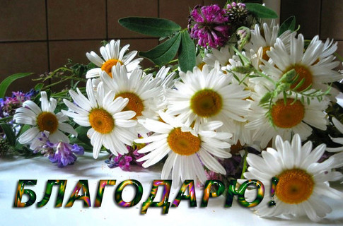 Благодарю!!!