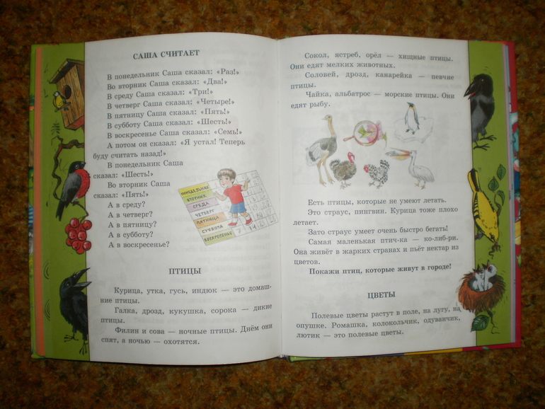 О чтении, буквах и букварях