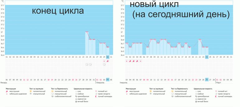 Посмотрите, девчули! что за ерунда??