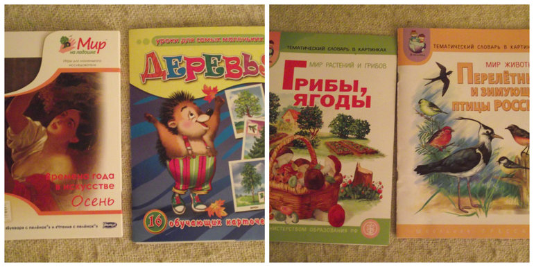 ТН Осень