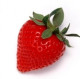 Tanya (Strawberry)