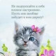 Асия Щадинская