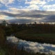 Галина Ларина
