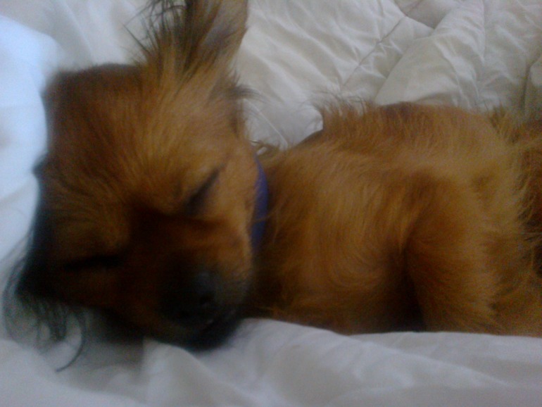 Наш кузя