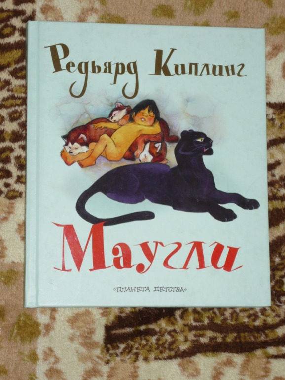 Книжки двух мальчишек