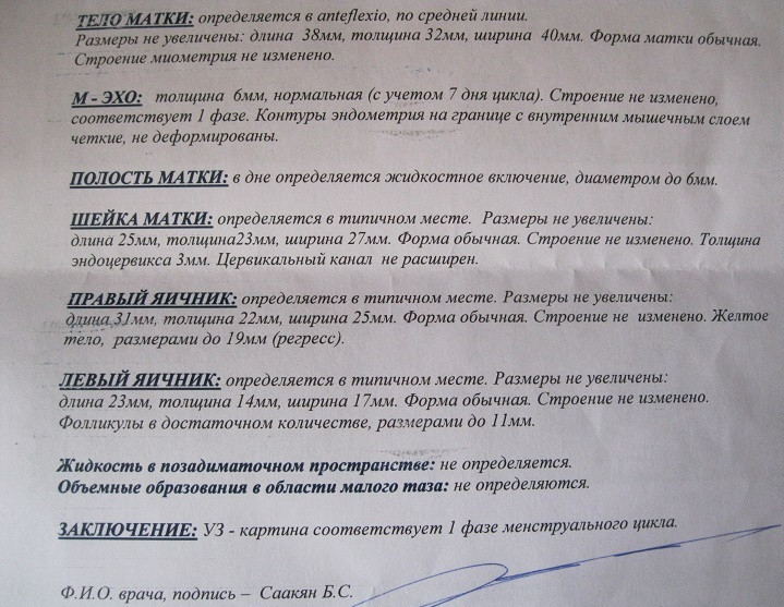 Узи на 7 д.ц.