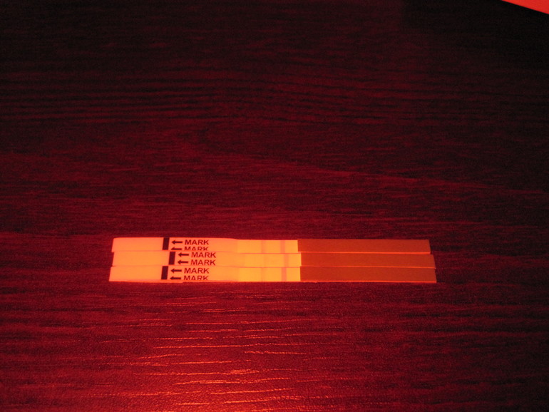 f9d22444f7ec0da95356e6845a48c88f.jpg