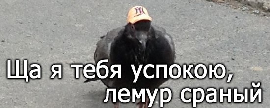Минутка улыбки)6 шт.